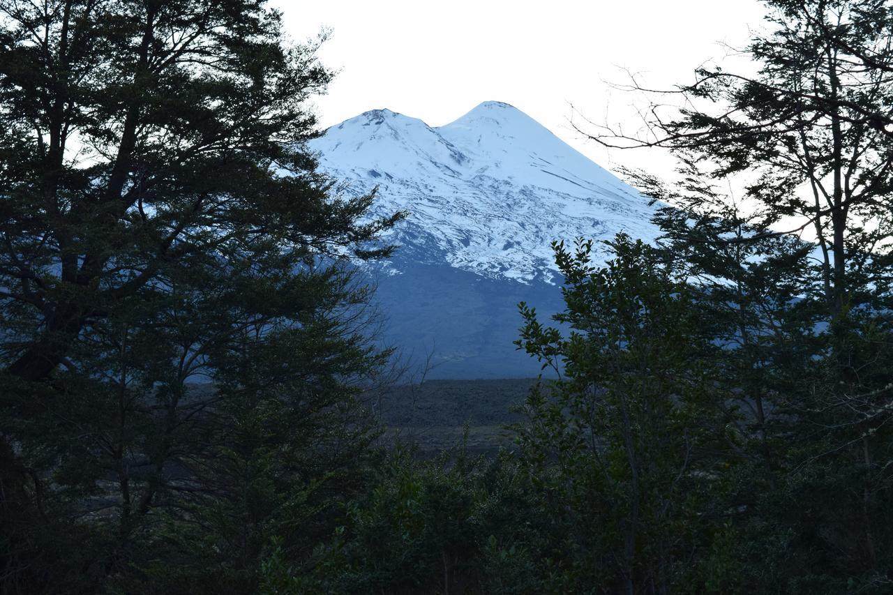 Vista Hermosa Conguillio Villa Exteriör bild