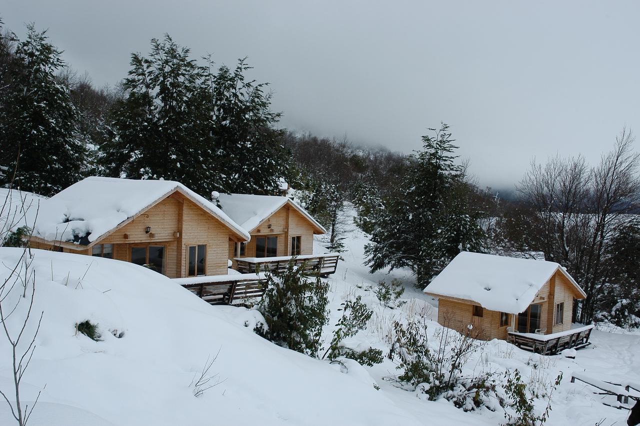 Vista Hermosa Conguillio Villa Exteriör bild
